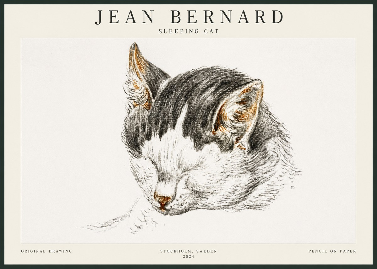 Jean Bernard Sleeping Cat V No3 - Plakát