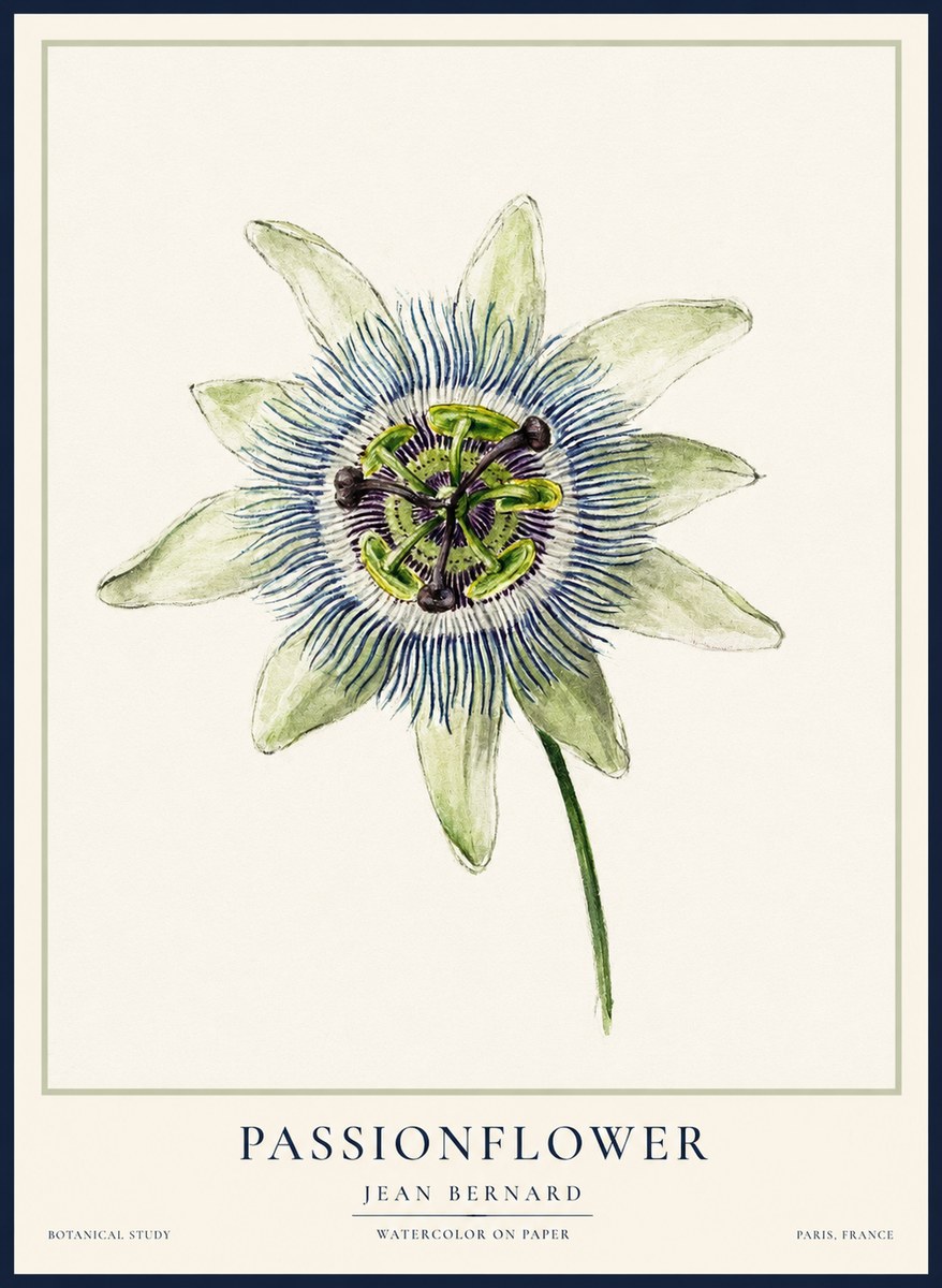 Jean Bernard Passionflower No2 - Plakát
