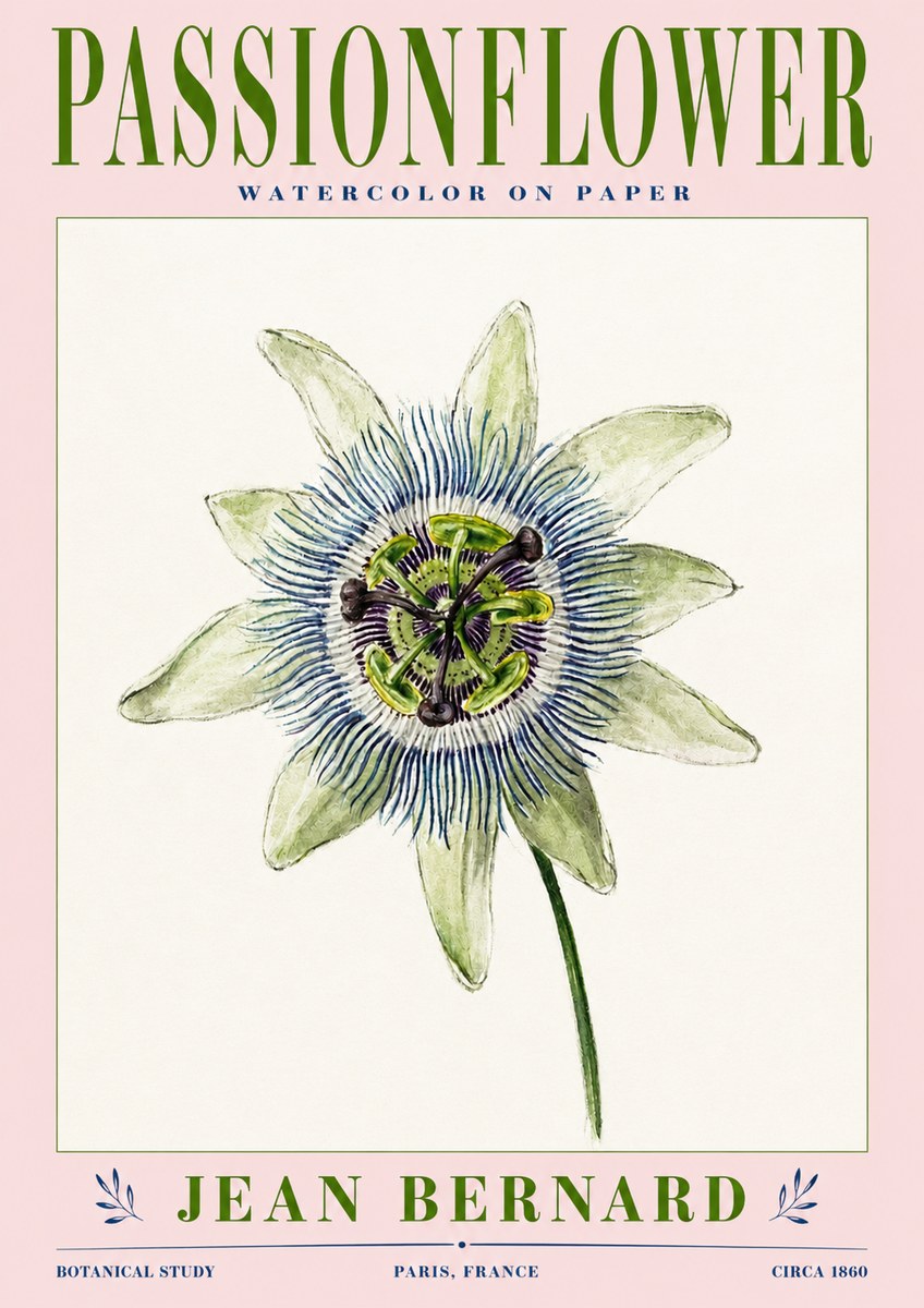 Jean Bernard Passionflower No3 - Plakát