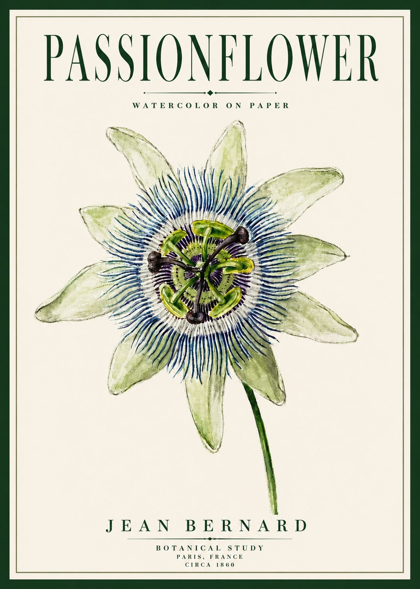 Jean Bernard Passionflower No5 - Plakát