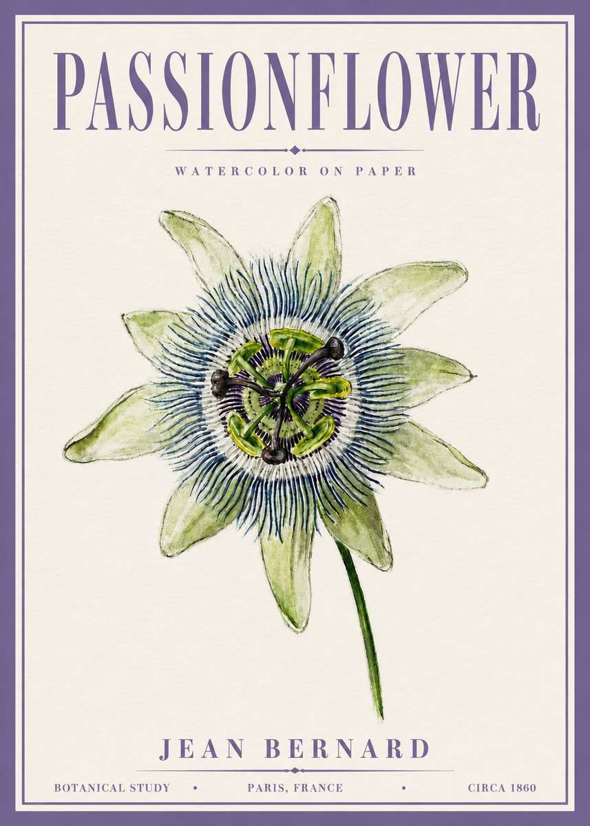 Jean Bernard Passionflower No6 - Plakát