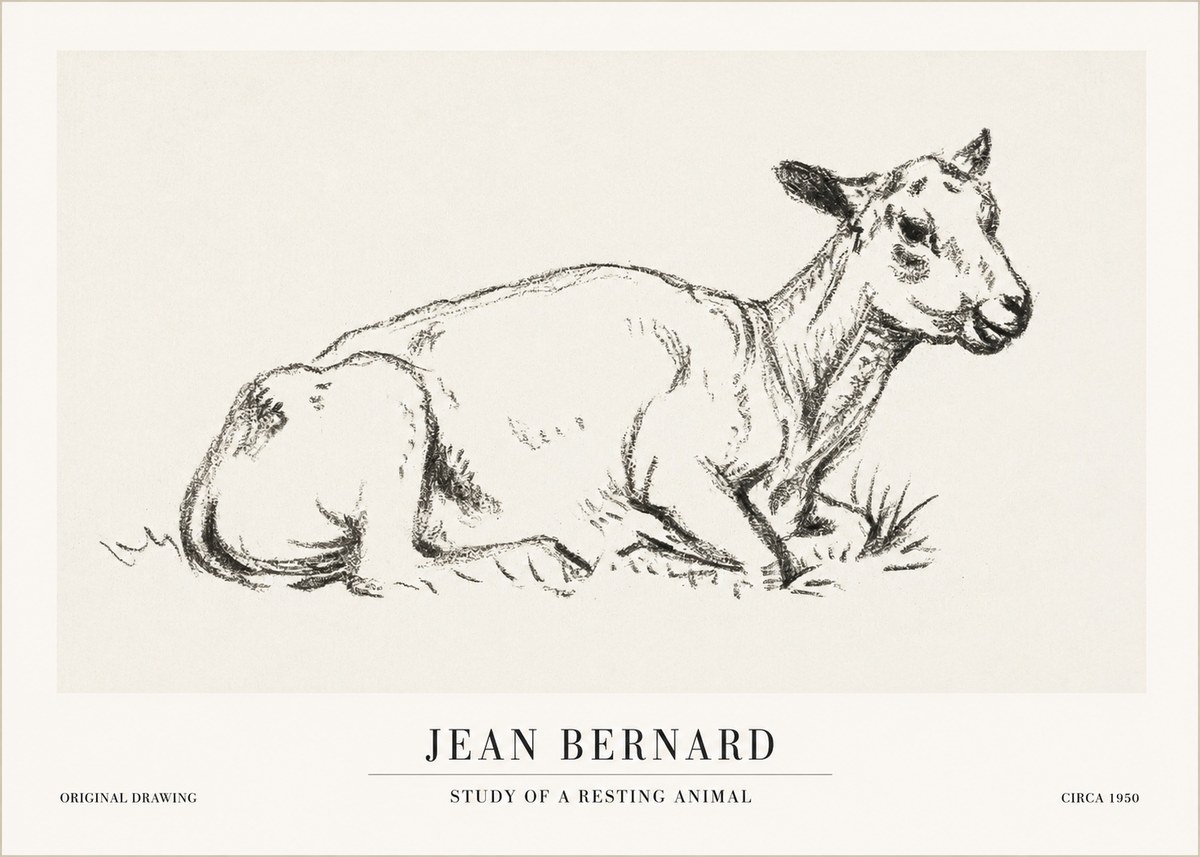 Jean Bernard Study of a Resting Animal No1 - Plakát
