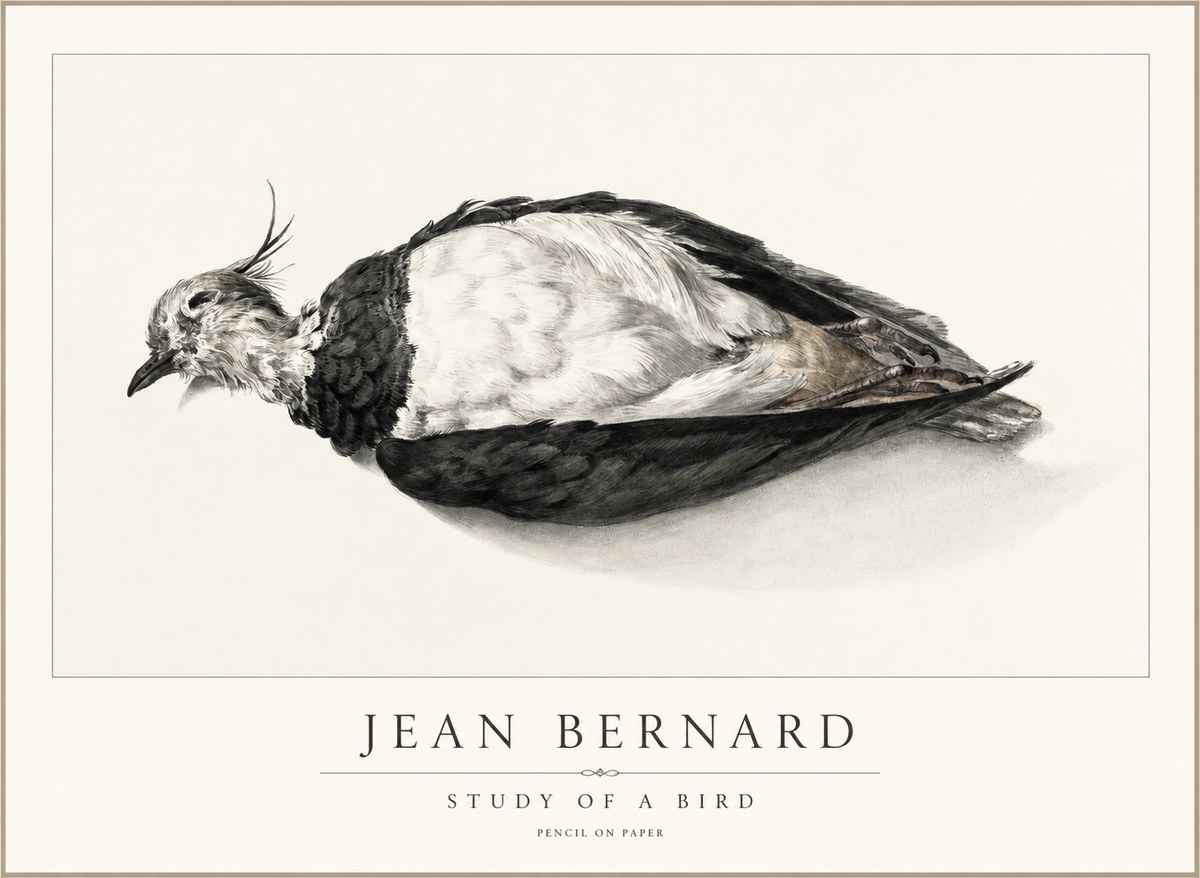 Jean Bernard Study of a Bird II No2 - Plakát