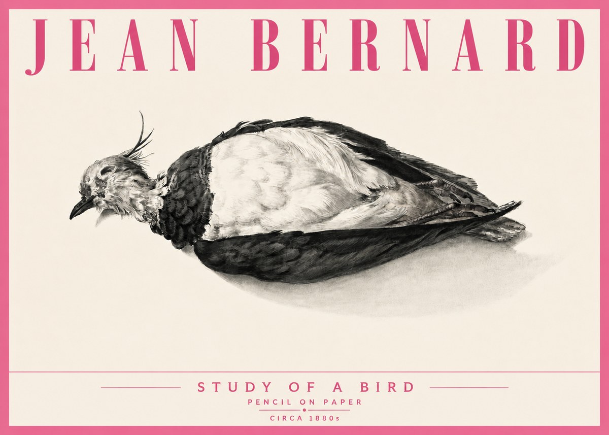 Jean Bernard Study of a Bird II No6 - Plakát
