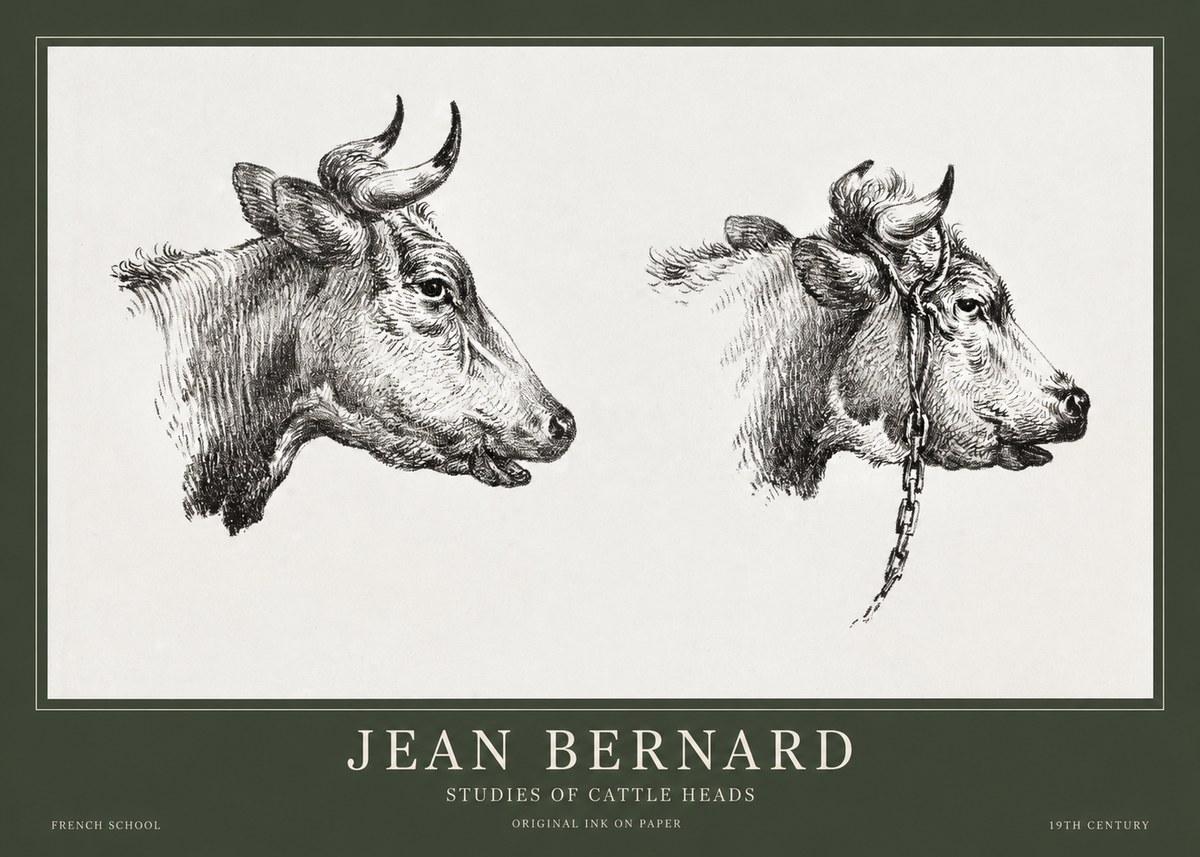 Jean Bernard Studies of Cattle Heads No1 - Plakát