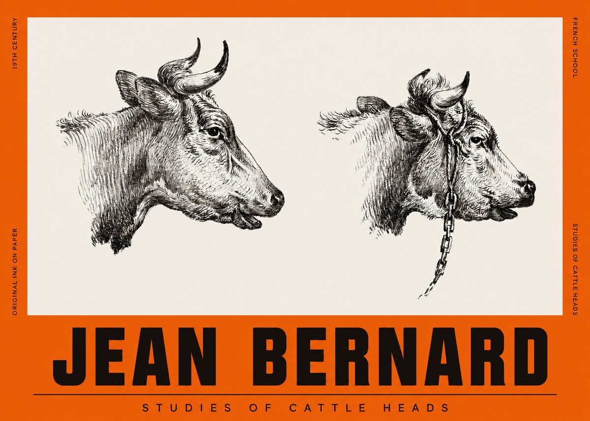 Jean Bernard Studies of Cattle Heads No2 - Plakát