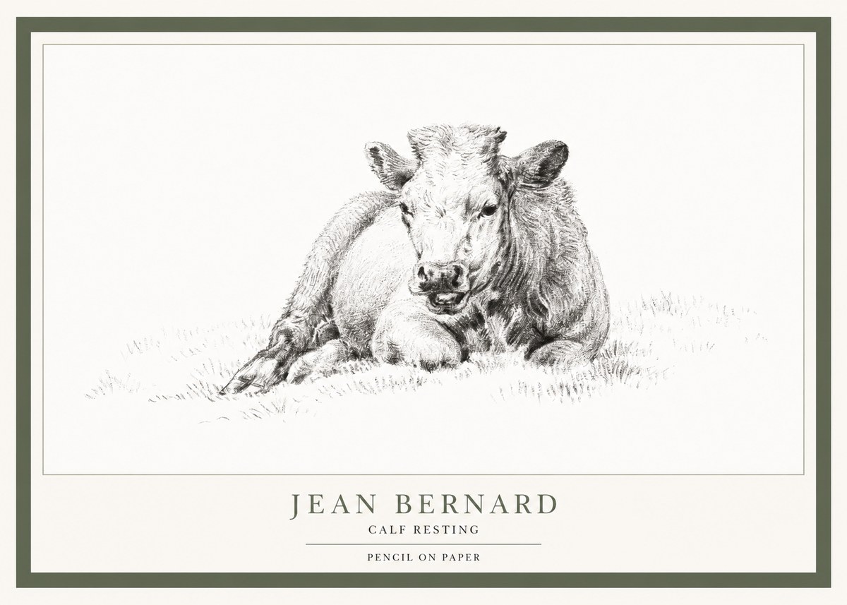 Jean Bernard Calf Resting No1 - Plakát