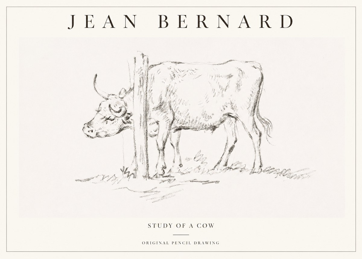 Jean Bernard Study of a Cow VII No1 - Plakát