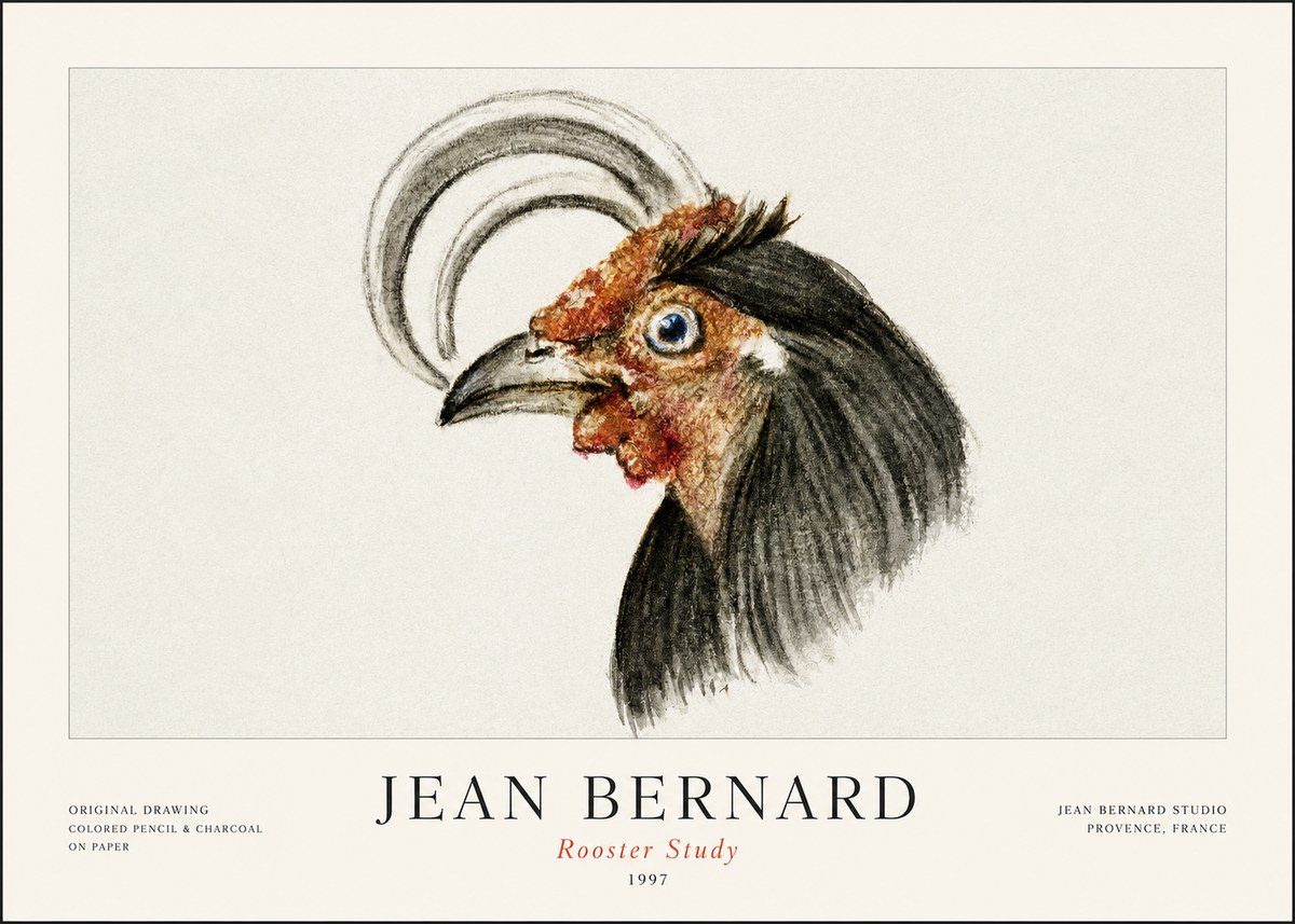 Jean Bernard Rooster Study No1 - Plakát