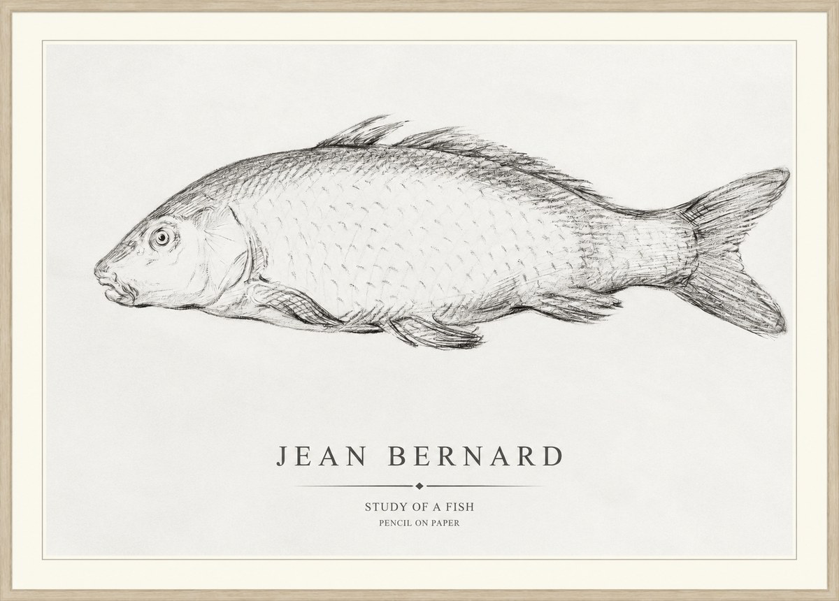 Jean Bernard Study of a Fish III No1 - Plakát