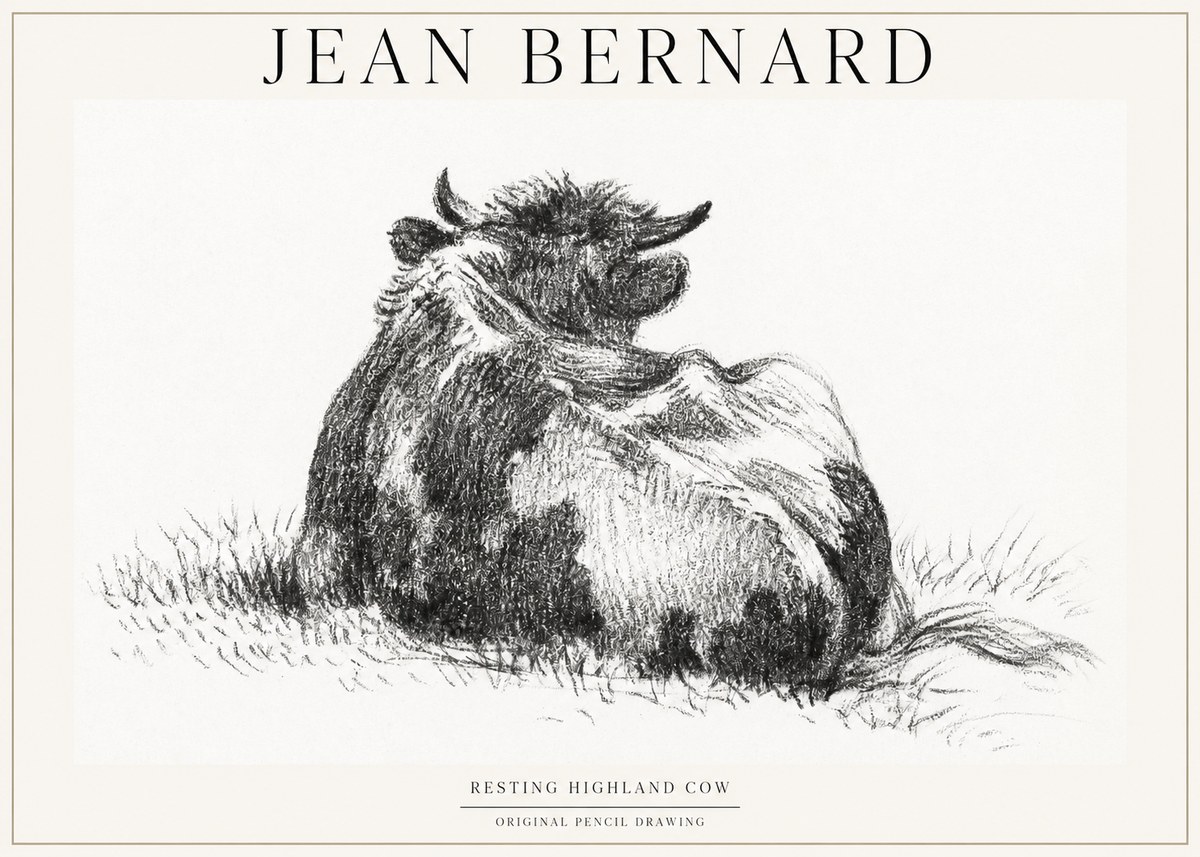Jean Bernard Resting Highland Cow No1 - Plakát