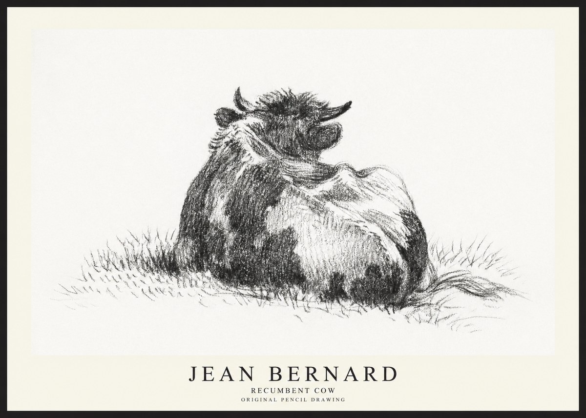 Jean Bernard Resting Highland Cow No3 - Plakát