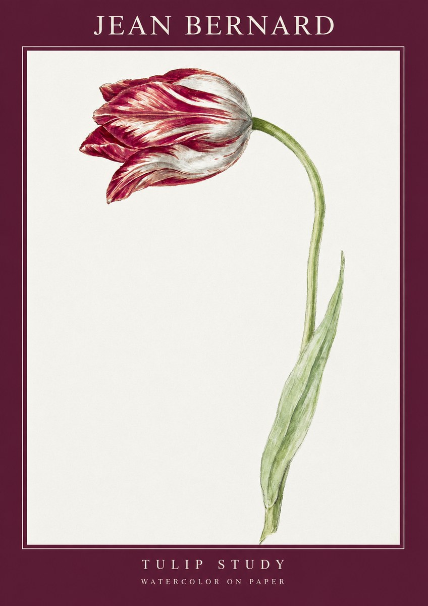 Jean Bernard Tulip Study No2 - Plakát