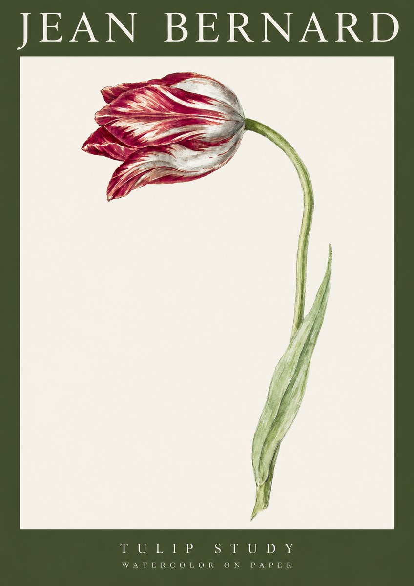 Jean Bernard Tulip Study No3 - Plakát