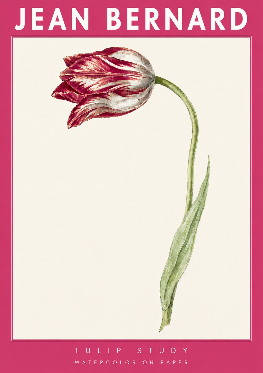 Jean Bernard Tulip Study No4 - Plakát
