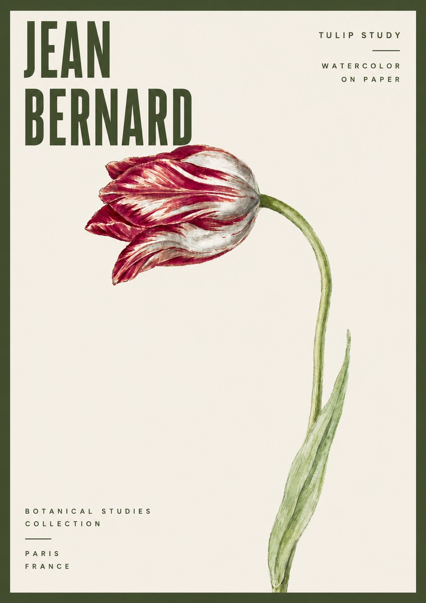 Jean Bernard Tulip Study No6 - Plakát