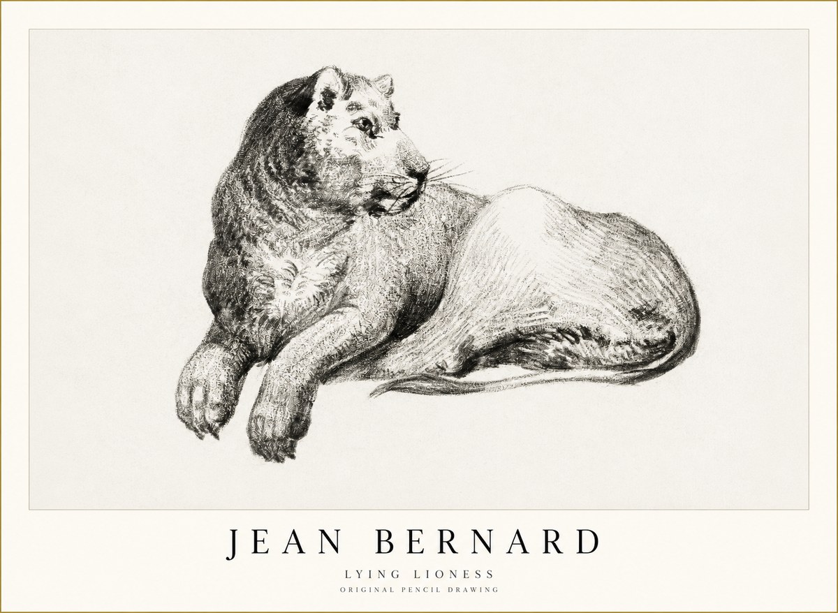 Jean Bernard Lying Lioness No1 - Plakát