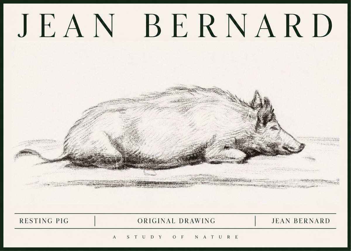 Jean Bernard Resting Pig I No1 - Plakát