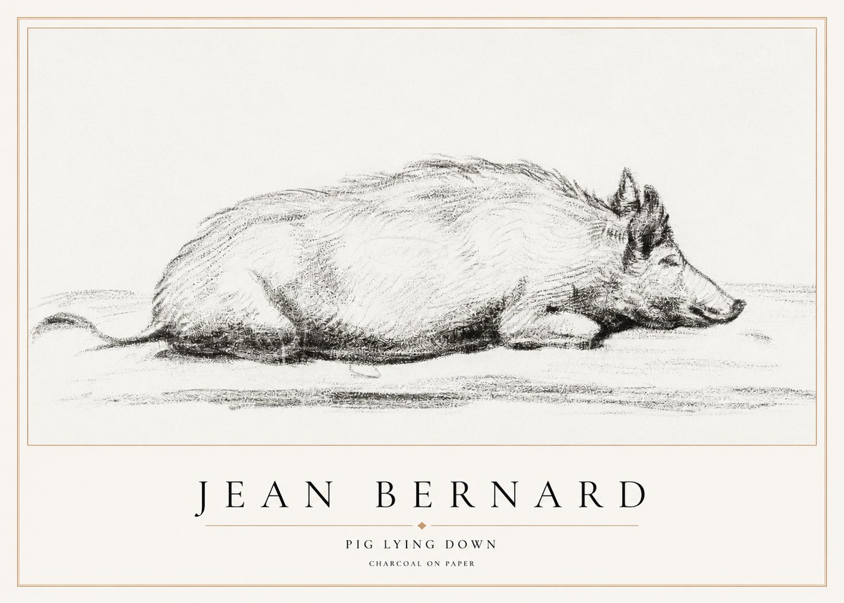 Jean Bernard Resting Pig I No2 - Plakát