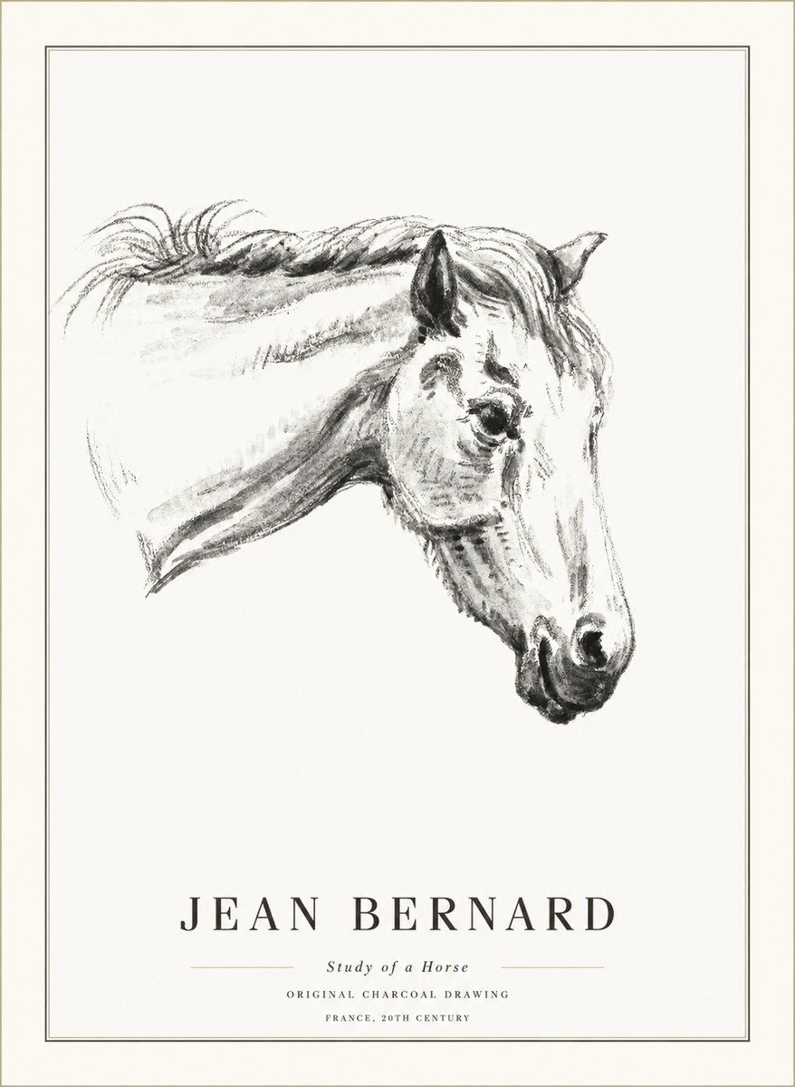 Jean Bernard Study of a Horse VIII No5 - Plakát