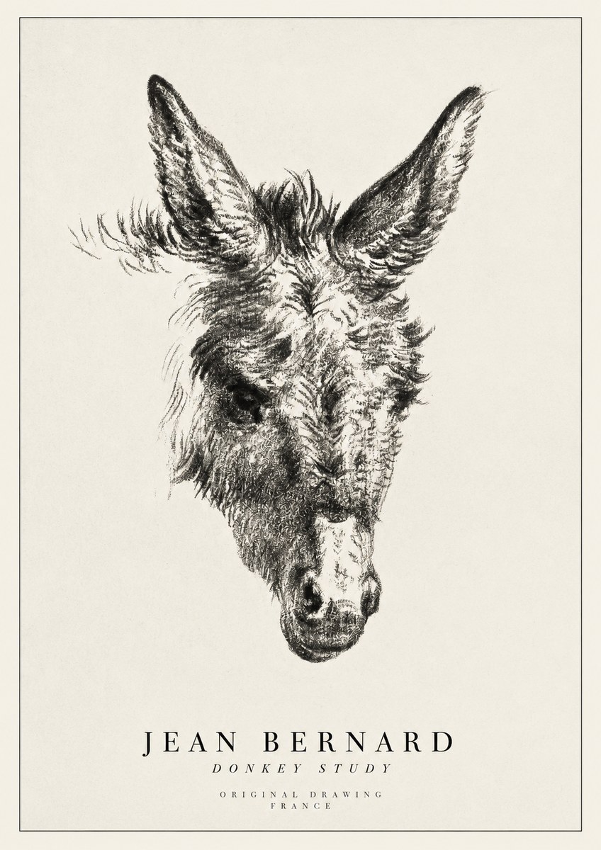 Jean Bernard Donkey Study IV No1 - Plakát