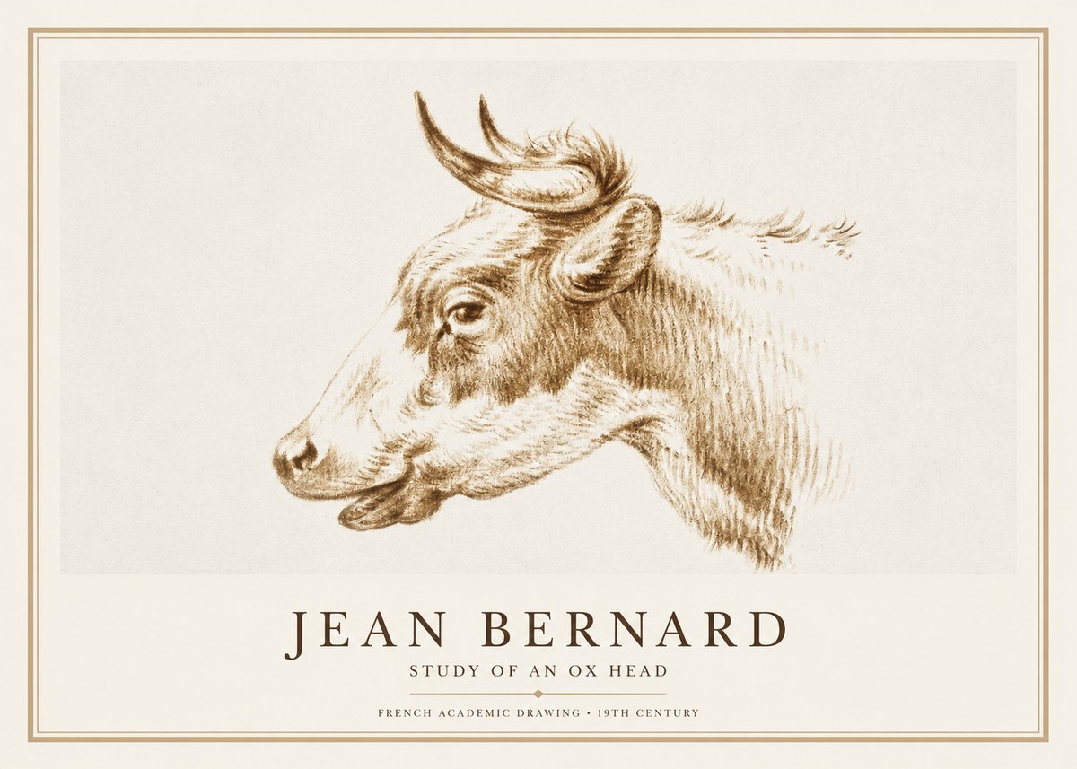 Jean Bernard Bovine Study II No3 - Plakát