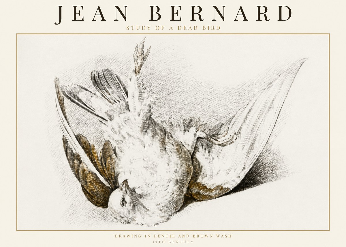 Jean Bernard Study of a Dead Bird No1 - Plakát