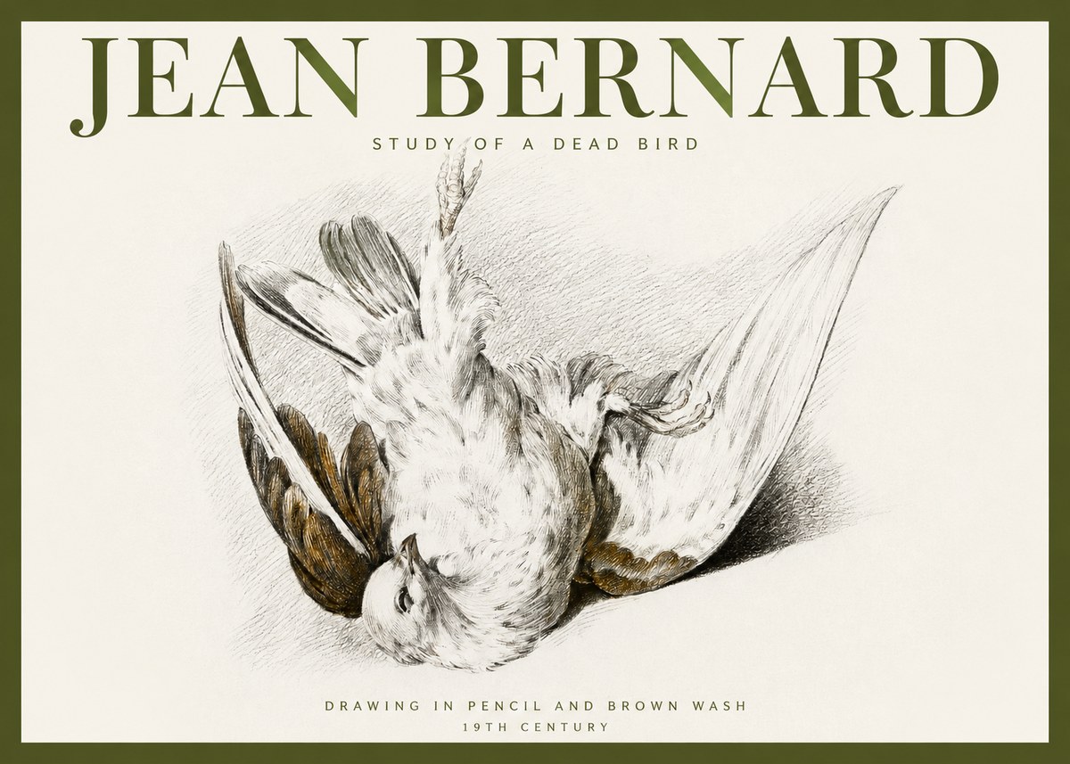 Jean Bernard Study of a Dead Bird No2 - Plakát