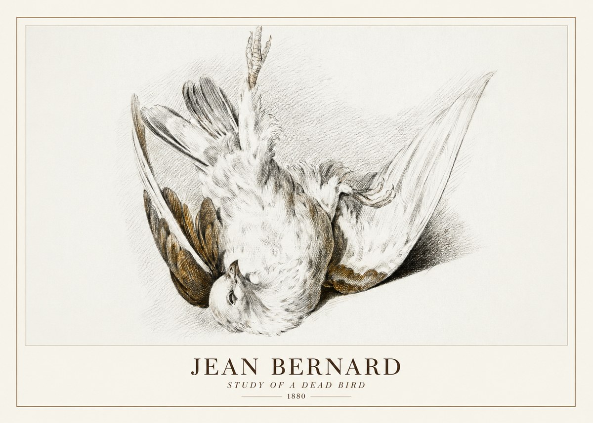 Jean Bernard Study of a Dead Bird No3 - Plakát