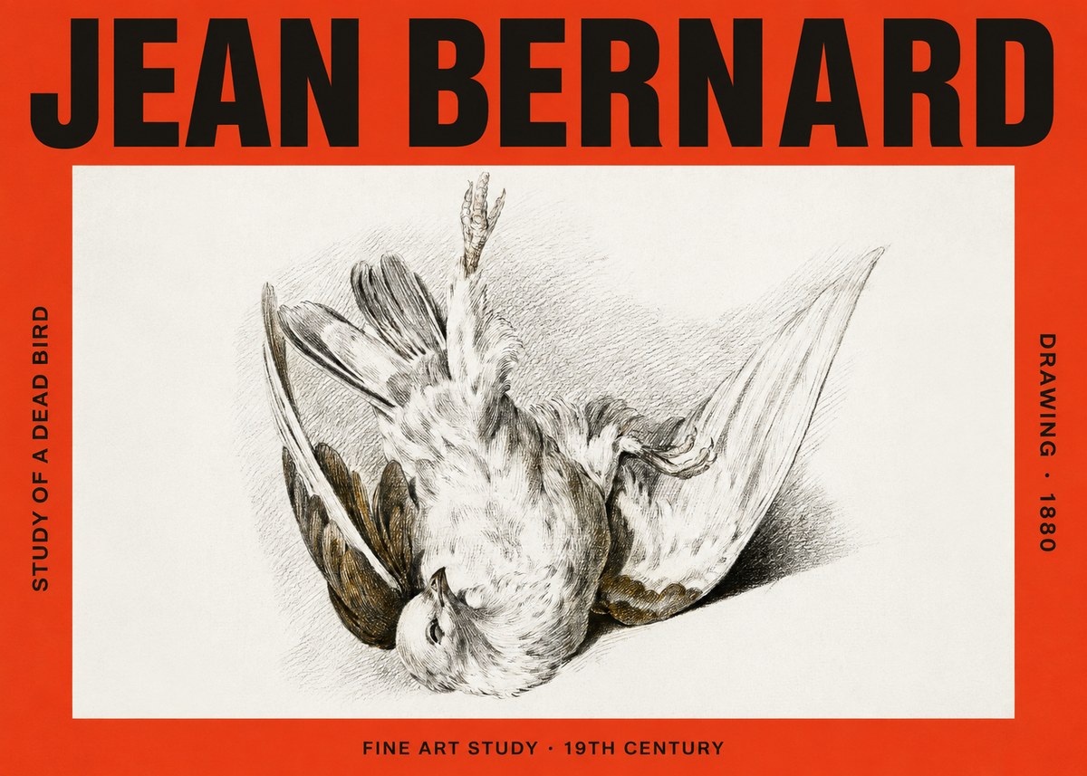 Jean Bernard Study of a Dead Bird No4 - Plakát