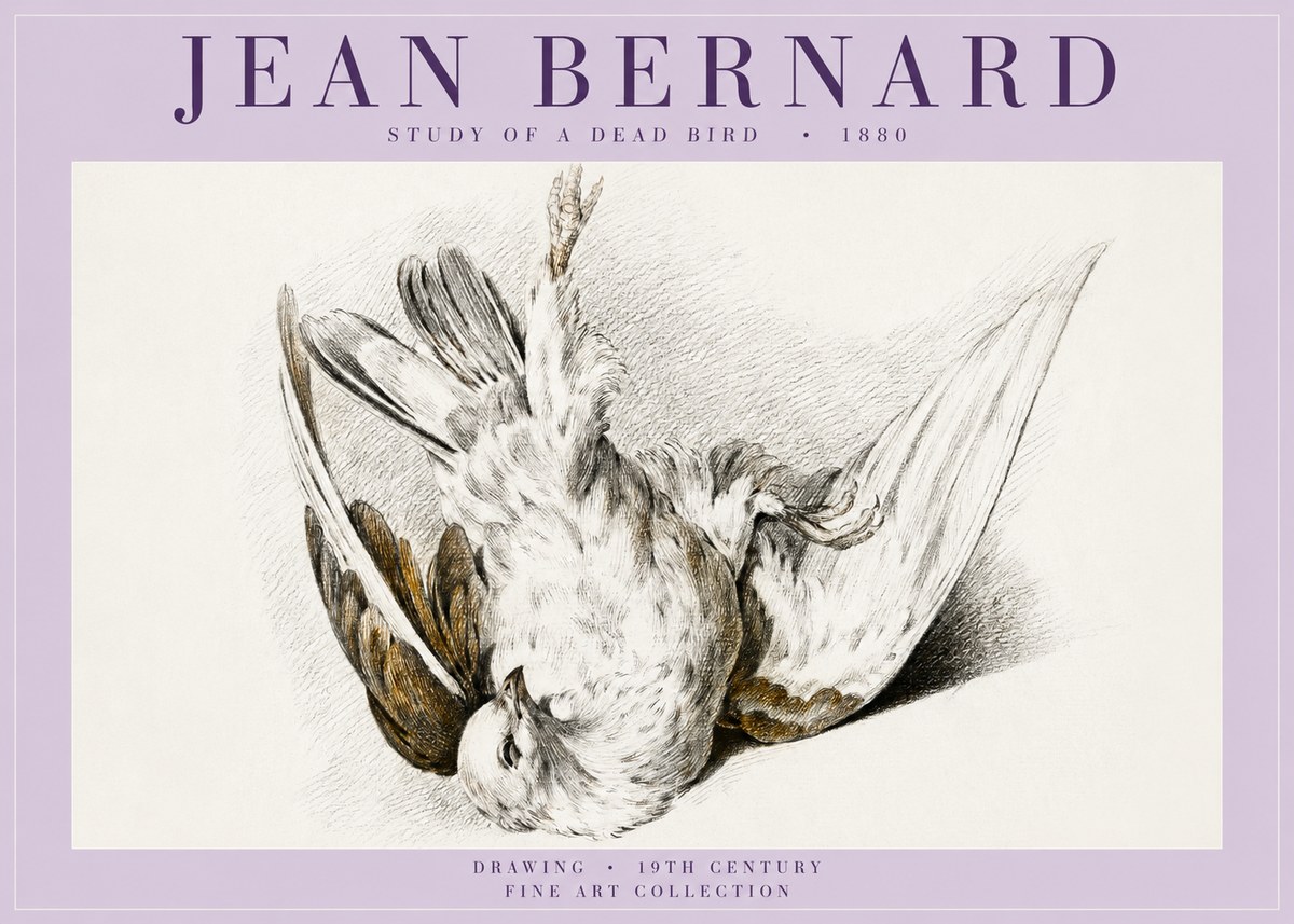 Jean Bernard Study of a Dead Bird No5 - Plakát
