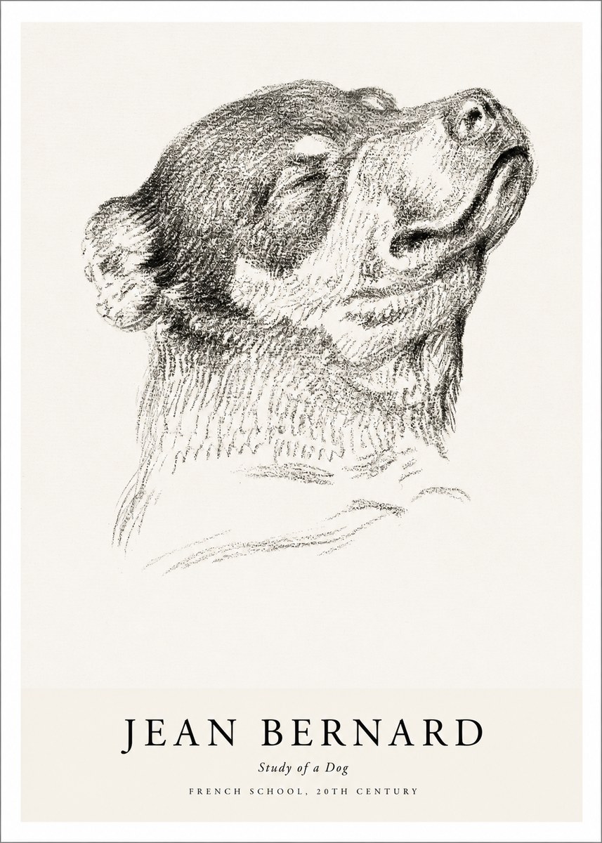 Jean Bernard Study of a Dog III No1 - Plakát