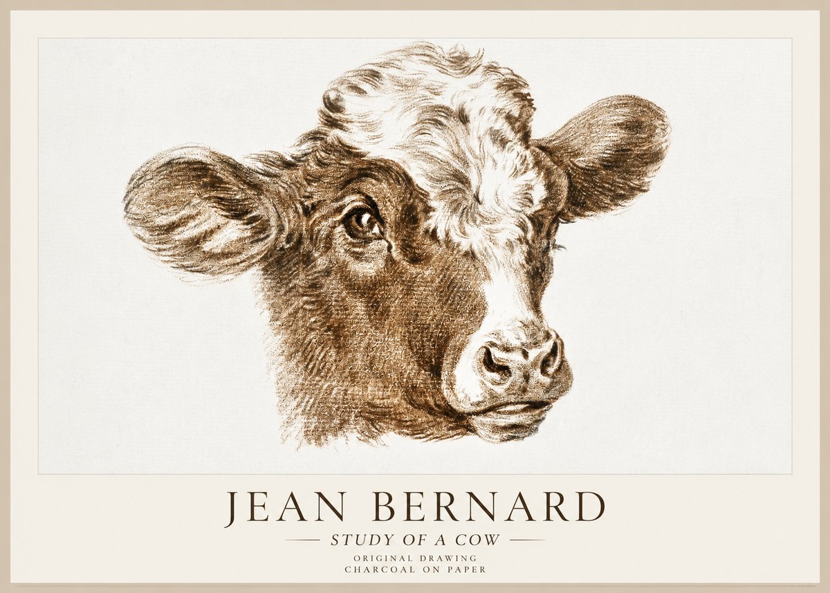 Jean Bernard Study of a Cow VIII No1 - Plakát