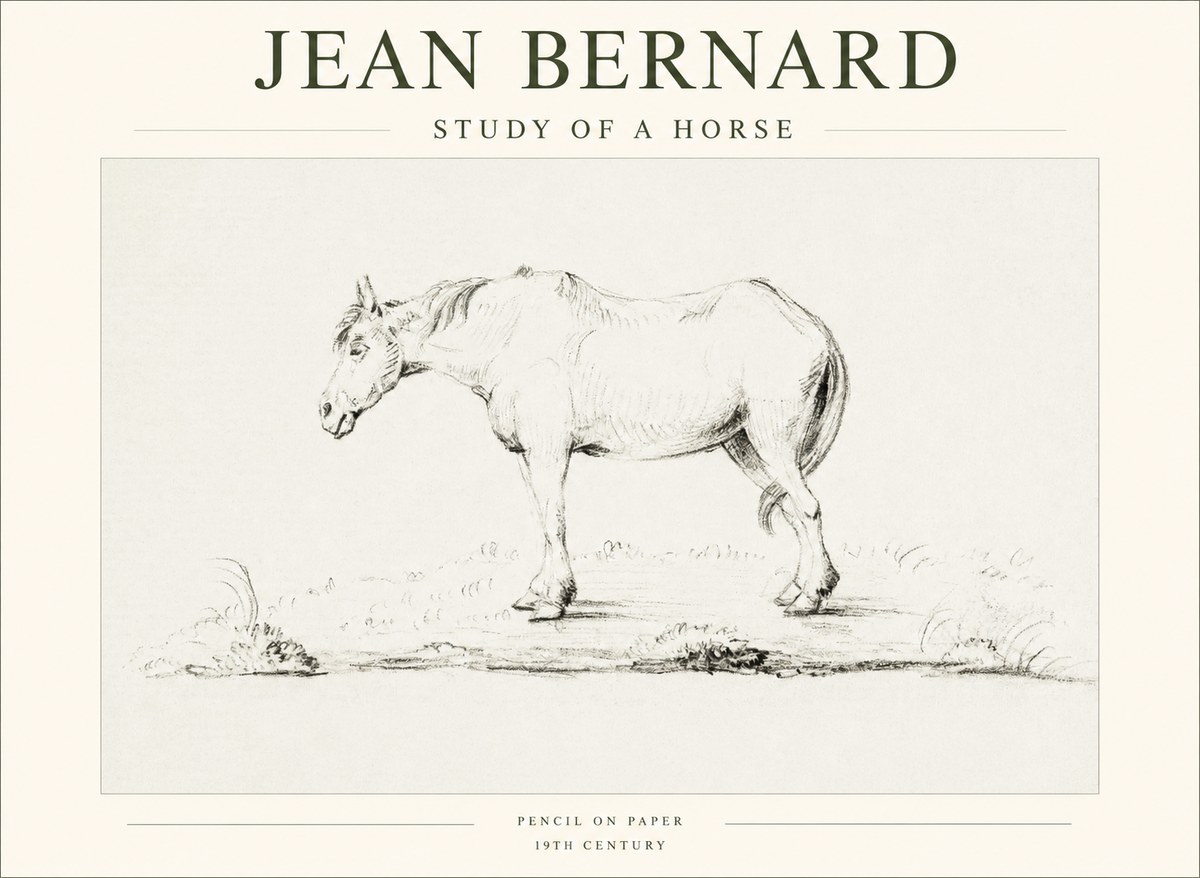 Jean Bernard Study of a Horse IX No1 - Plakát