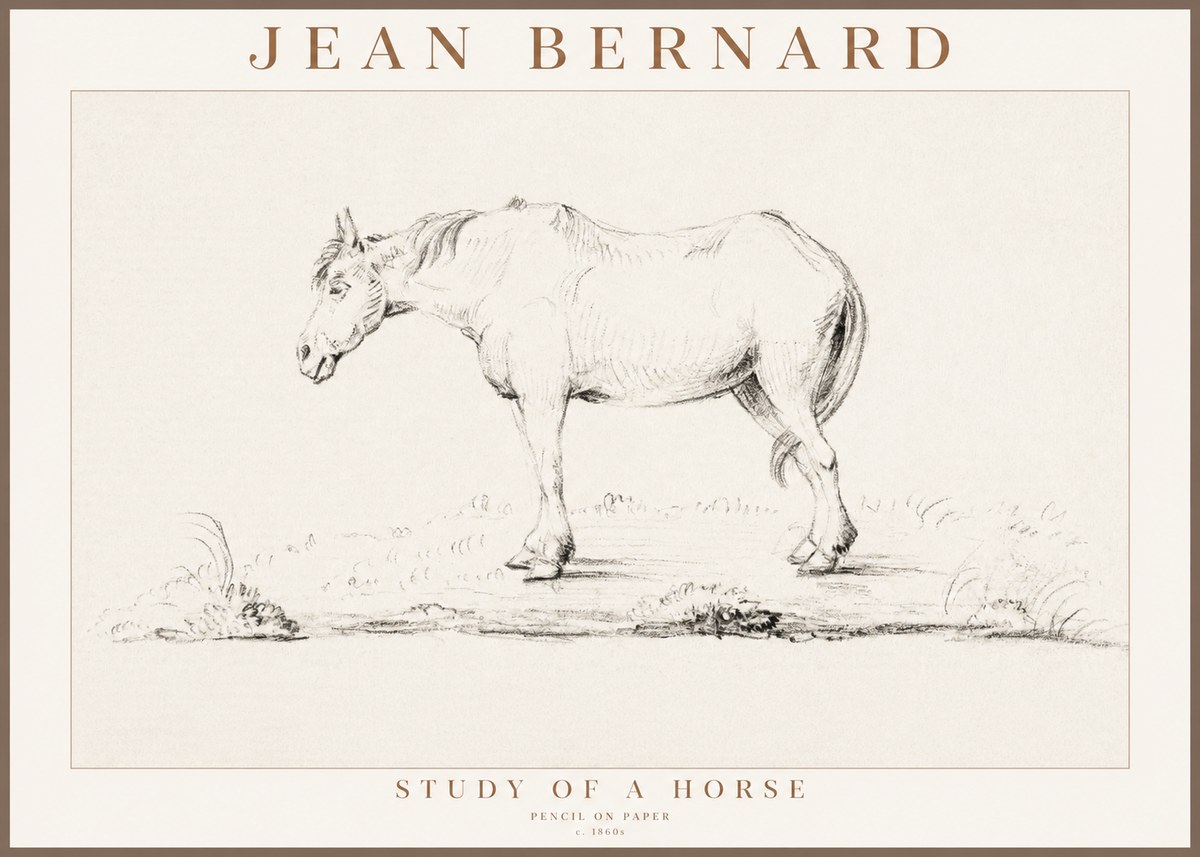 Jean Bernard Study of a Horse IX No3 - Plakát
