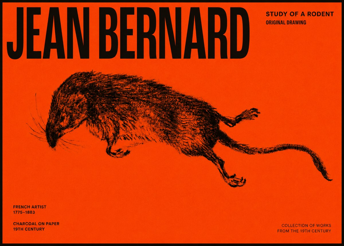 Jean Bernard Study of a Rat II No6 - Plakát
