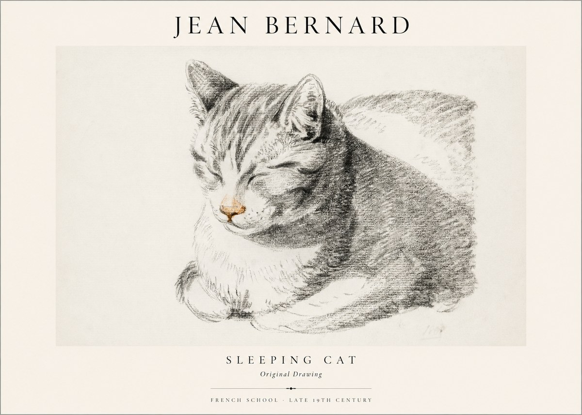 Jean Bernard Sleeping Cat VI No1 - Plakát