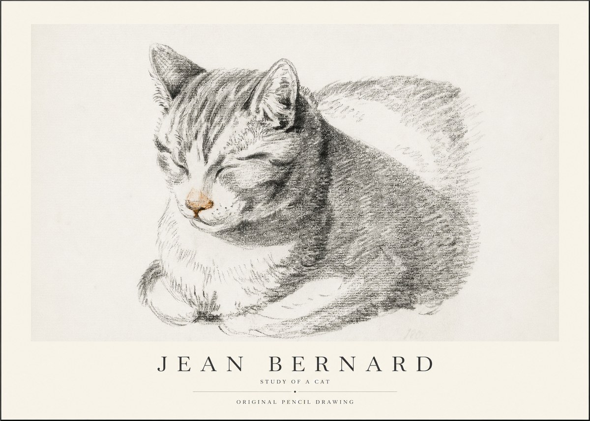 Jean Bernard Sleeping Cat VI No2 - Plakát