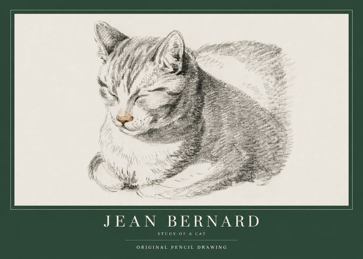 Jean Bernard Sleeping Cat VI No4 - Plakát