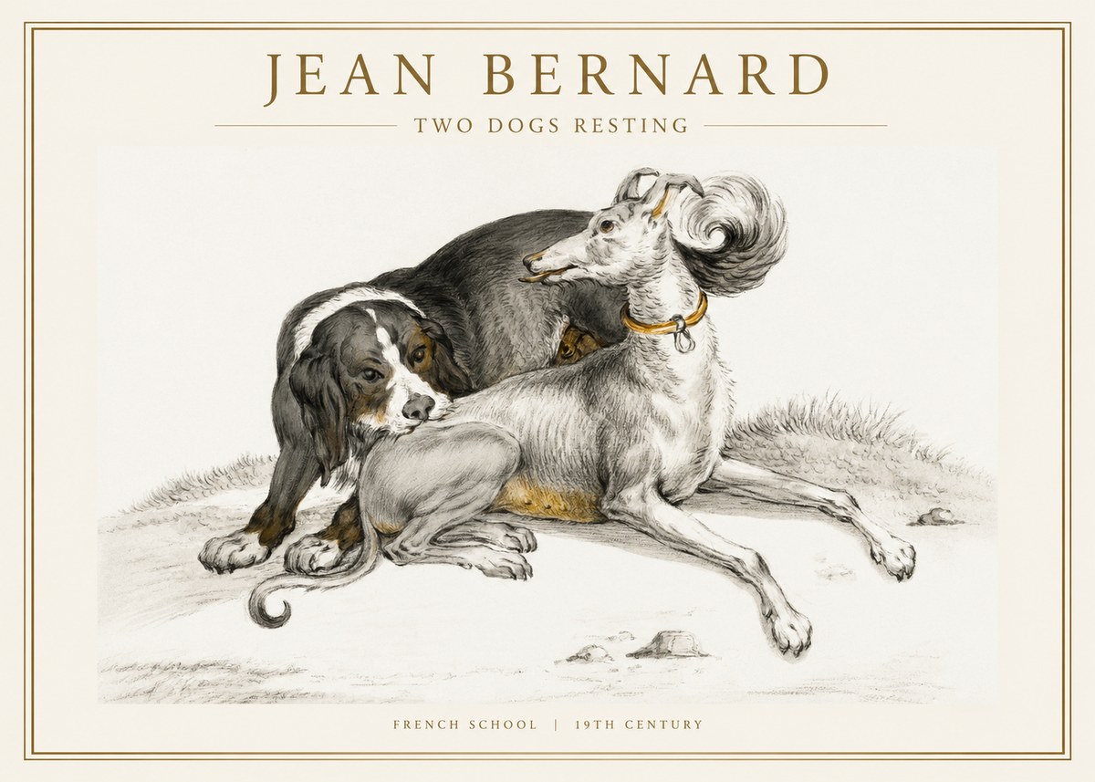 Jean Bernard Two Dogs Resting No1 - Plakát