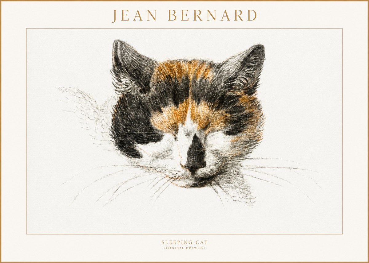 Jean Bernard Cat Study VIII No4 - Plakát