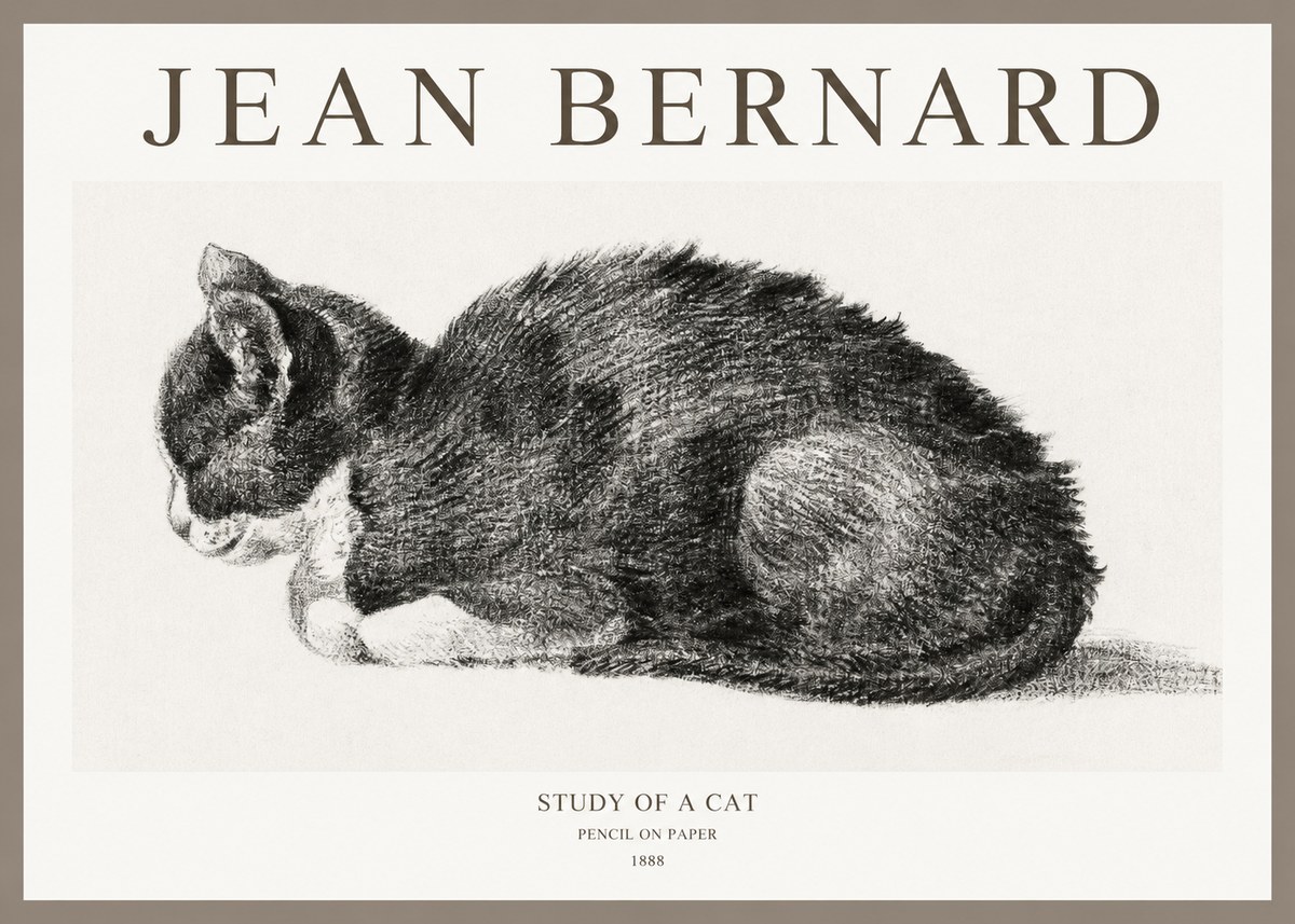 Jean Bernard Sleeping Cat VII No6 - Plakát