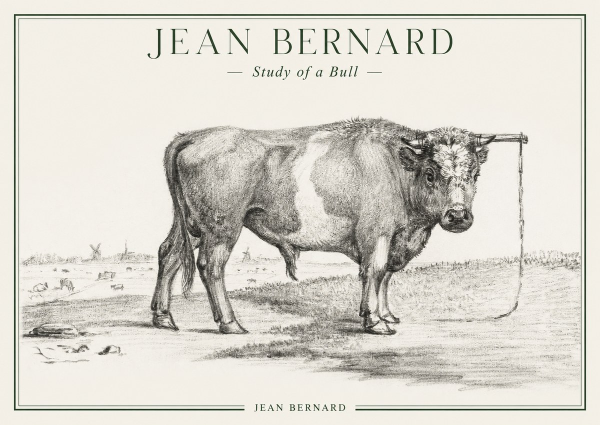 Jean Bernard Study of a Bull III No1 - Plakát