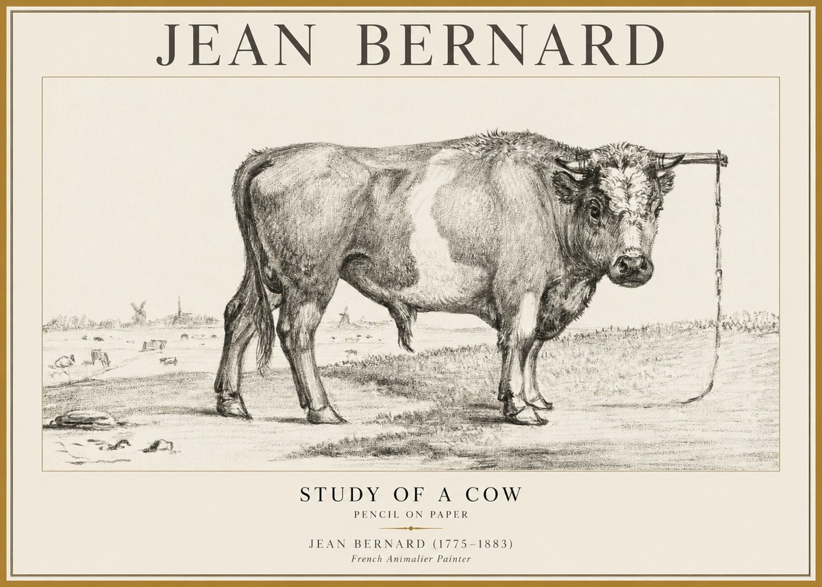 Jean Bernard Study of a Bull III No5 - Plakát