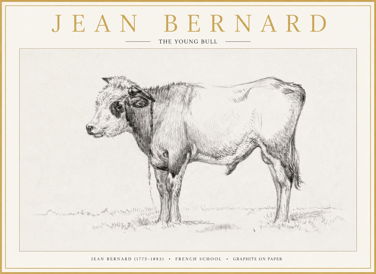 Jean Bernard The Young Bull No1 - Plakát