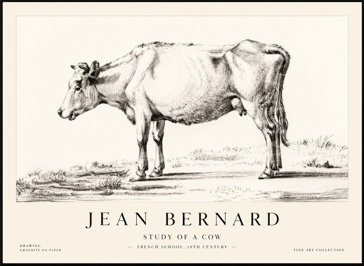 Jean Bernard Study of a Cow XI No2 - Plakát