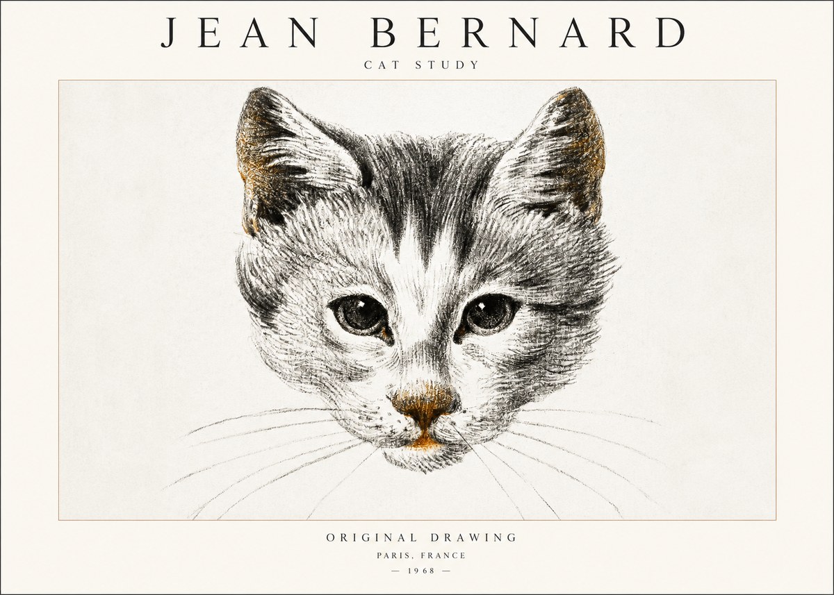Jean Bernard Cat Study IX No6 - Plakát