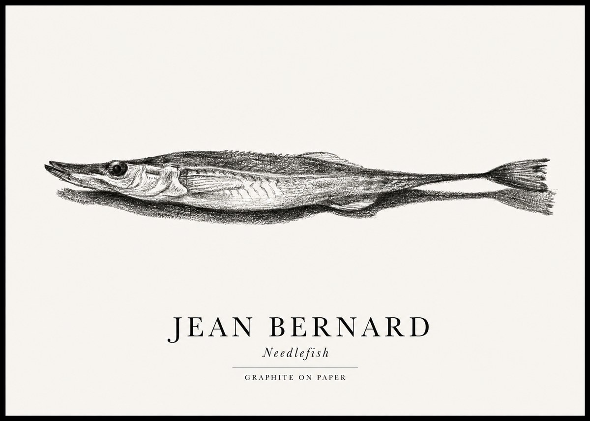 Jean Bernard Needlefish No1 - Plakát