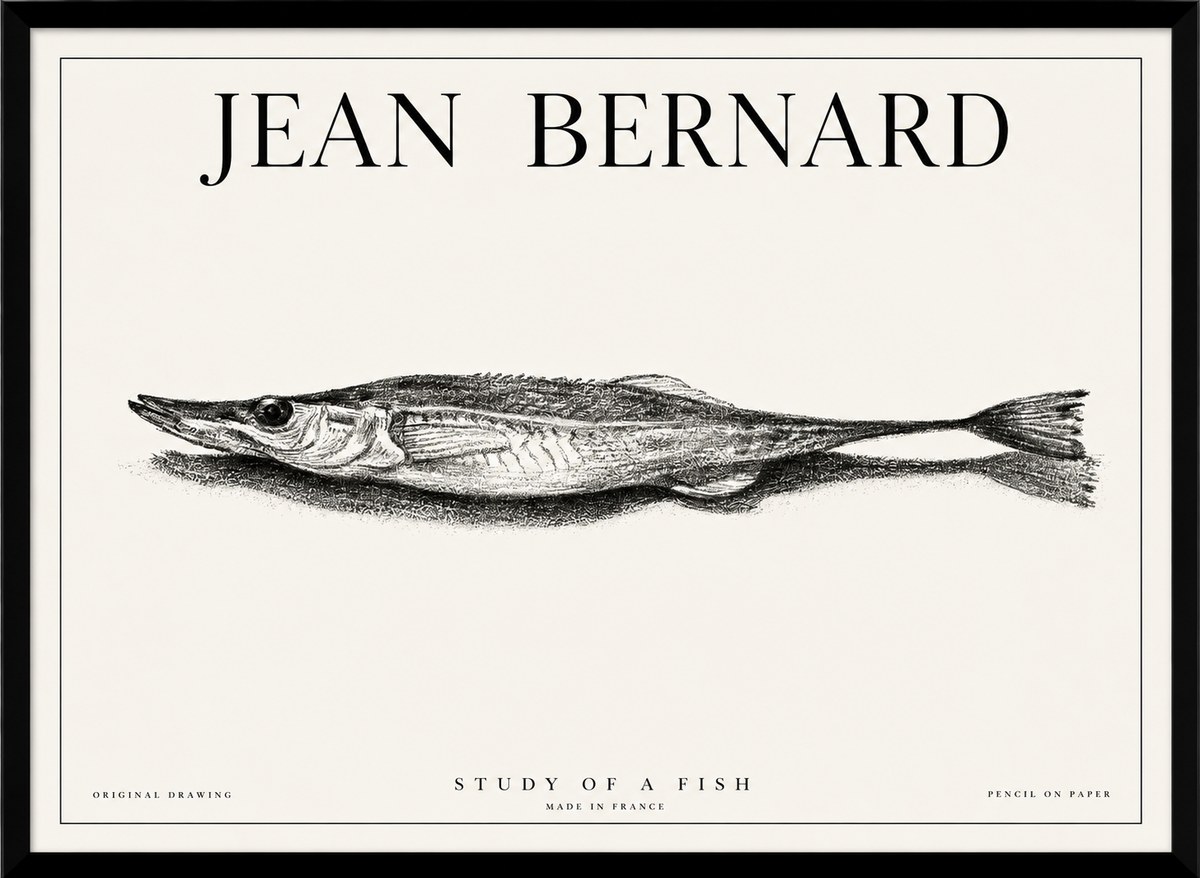 Jean Bernard Needlefish No6 - Plakát