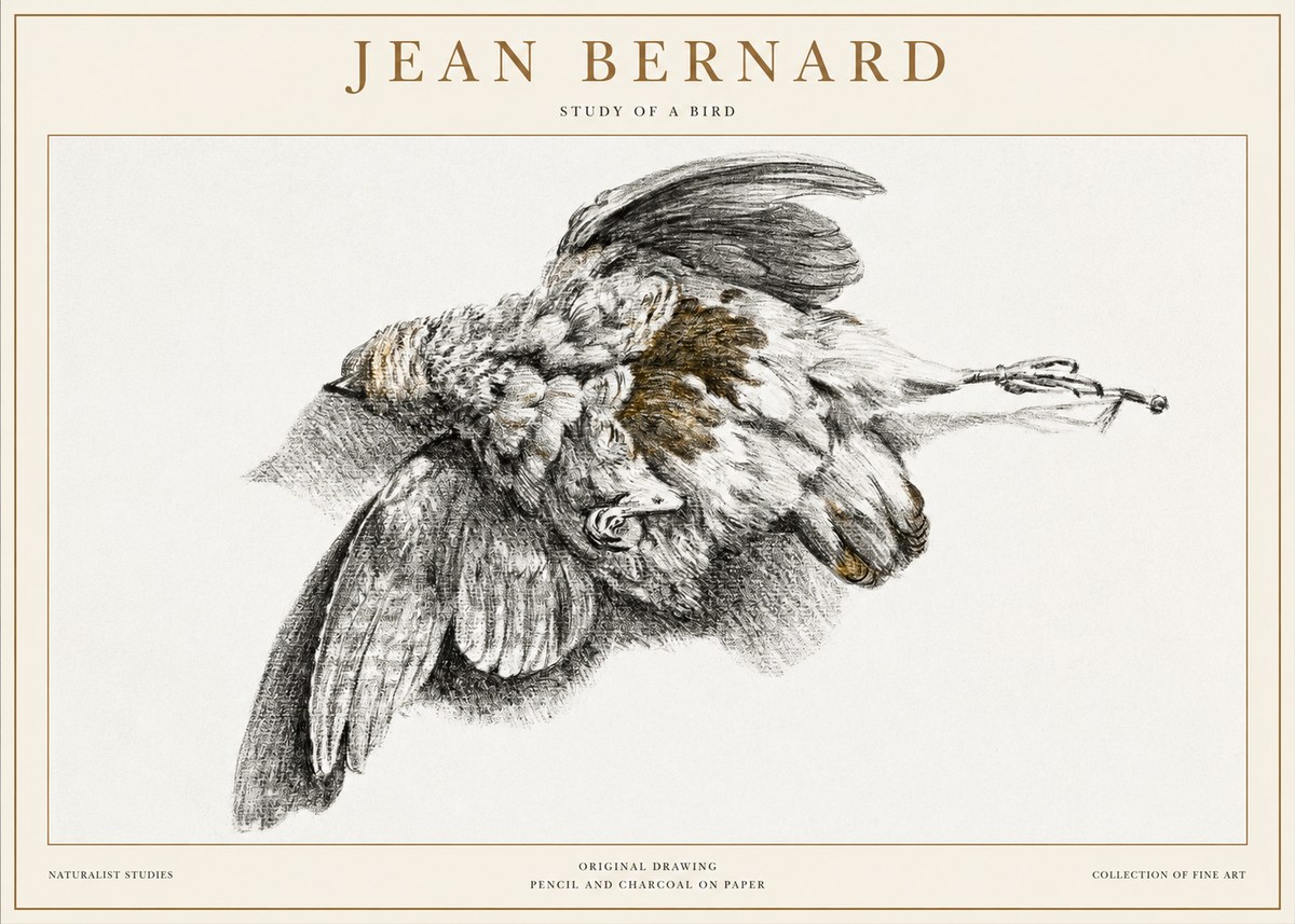 Jean Bernard Study of a Bird III No1 - Plakát
